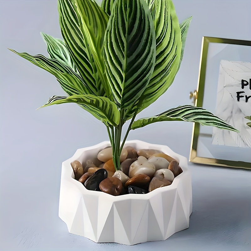 1/2 Buah Cetakan Silikon Bulat - Potsticker Mold ulasan dan harga