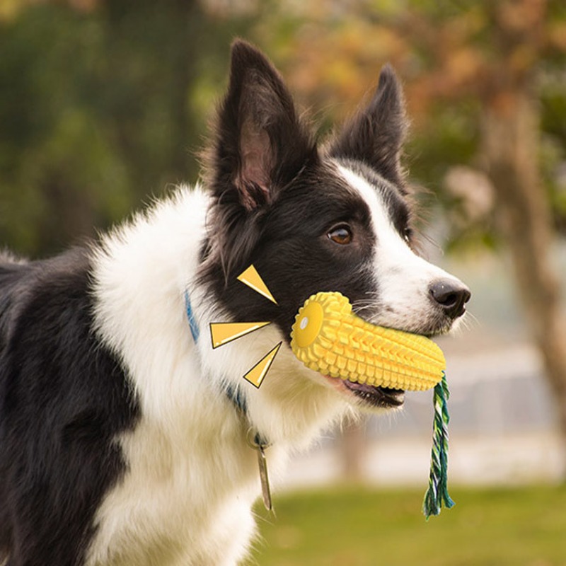 Stik Kunyah Sikat Gigi Anjing  - Corn Dog Stick ulasan dan harga